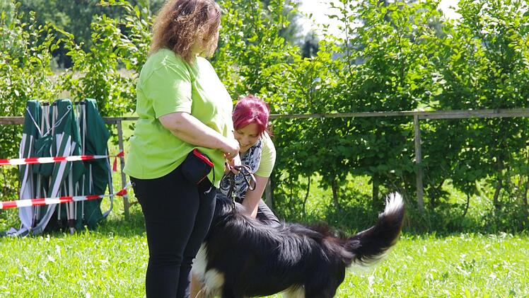 Tierheimfest in Kronach. Foto: Marco Meißner