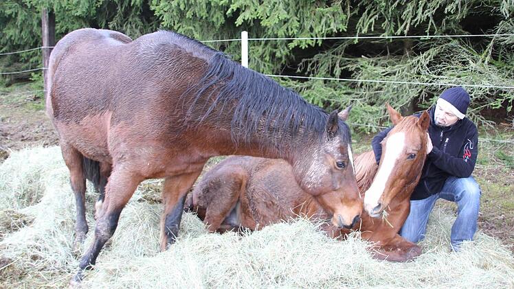 Werner Muffel mit den Pferden Sunny (links) und Jaiyl in der Koppel bei Neukenroth  Foto: Friedwald Schedel