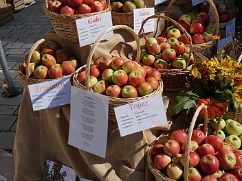 Bayreuth: Apfelfest mit Obstausstellung findet Sonntag statt - was die Besucher erwartet