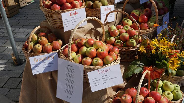 Bayreuth: Apfelfest mit Obstausstellung findet Sonntag statt - was die Besucher erwartet