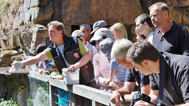 Tierpfleger Arno Schlereth (links) und Wildpark-Leiter Axel Maunz erläutern während der Fütterung den Besuchern das Leben der Fischotter.  Foto: Dobschütz