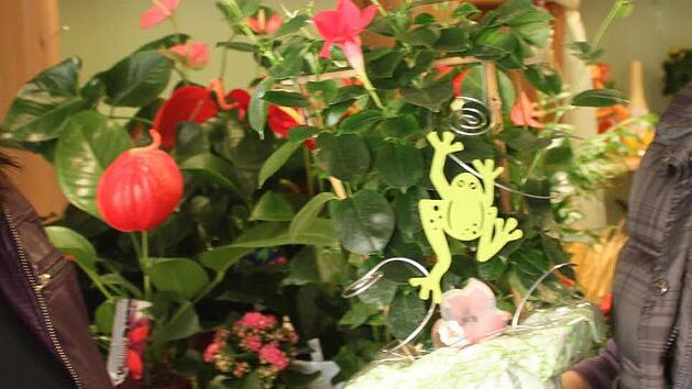 Foto: Sebastian Martin