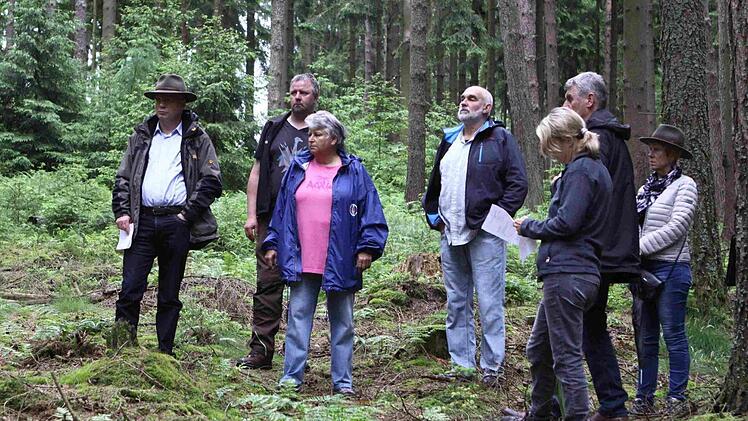 Draußen im Gelände: Im Sommer 2016 begutachtete der Stadtrat den ausgelichteten Fichtenbestand des Gänsrains. Foto: Archiv/Thomas Dill