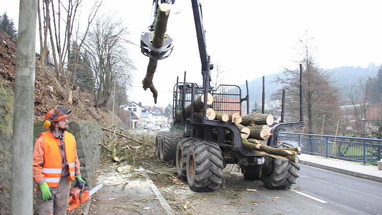 Die Stämme wurden in kurze Stücke geschnitten und verladen. Foto: Friedwald Schedel