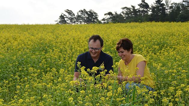 Blütenmeer in Goldgelb: Manfred und Birgit Distler sind sehr zufrieden mit der Entwicklung des Senfs auf ihrem Feld. Der Regen der vergangenen Tage war wertvoll. Foto: Dagmar Besand