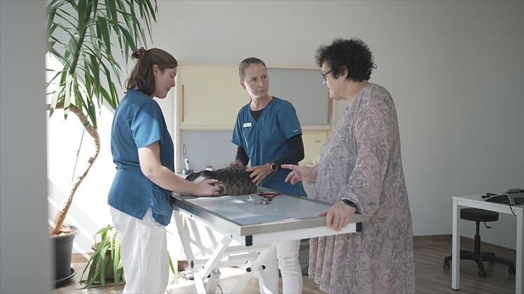 Wie krank ist Schnuffel? Kann sich Gisela die Behandlungskosten des geliebten Tieres noch leisten, oder muss sich die Rentnerin von ihrem "flauschigen Familienmitglied" verabschieden?