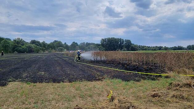 Niederf&uuml;llbach: Feuerwehr wird von Landwirtin unterst&uuml;tzt - &uuml;ber 100 Quadratmeter Brand