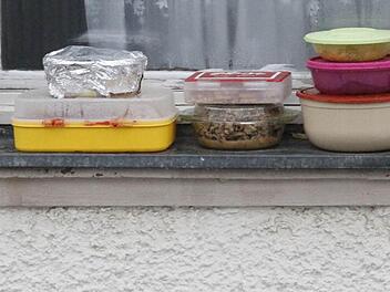 Da setzt jemand auf Natur  Foto: JH