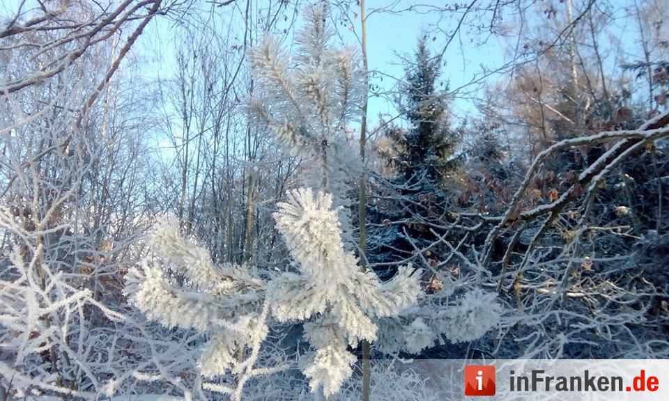 Eis und Schnee in Franken - die schönsten Winterleserfotos