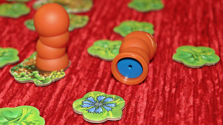 Kinderspiel-Tipp: Da kommt der Wurm raus  im Test - originelle Memory-Variante