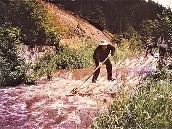 Rasante Floßfahrt auf der Dober im Jahre 1966 nach dem Floßteichaufmachen. Das erforderte Kraft und Geschicklichkeit von den Floßknechten. Repor: Gerd Fleischmann