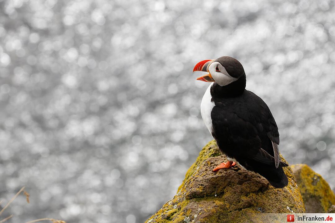 Bilder aus Island