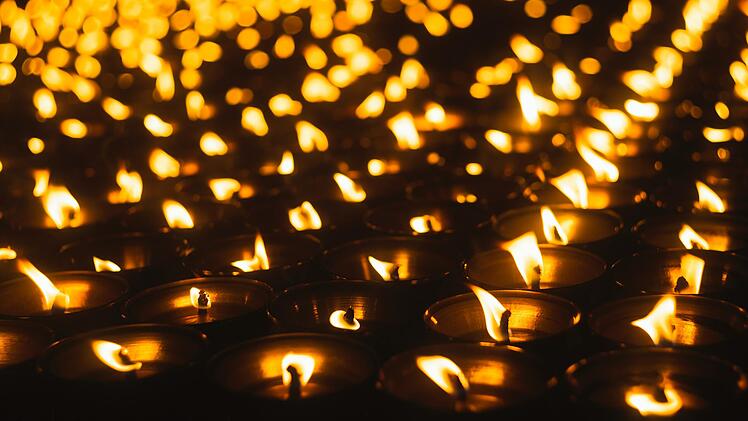 Koblenz: Beim "tierheim im Licht" wird es besinnlich