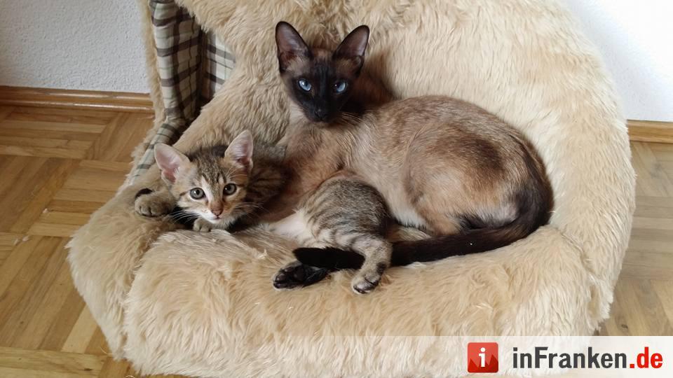 Foto: Marinne Dinkel