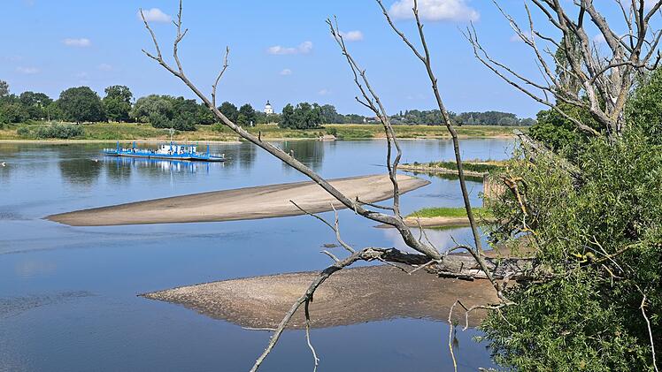 Niedrigwassern an der Elbe
