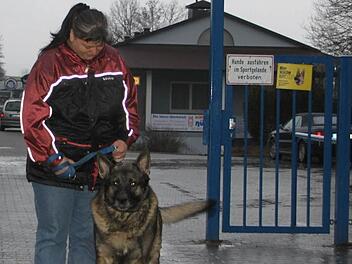 Hier wache ich: Der Versuch, ins ATS-Sportheim einzudringen, würde einem Einbrecher schlecht bekommen. Schäferhund "Drago" von Carmen Görler, der Pächterin der Stadiongaststätte, hasst Eindringlinge. Foto: Stephan Tiroch
