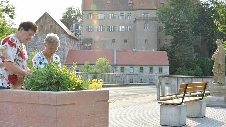 Brunhilde Hillenbrand, Kassier beim Heimat-, Wander- und Gartenbauverein Aschach und die Vorsitzende , Herta Müller (von links) , beim Pflegen der Anlagen. Foto: Björn Hein