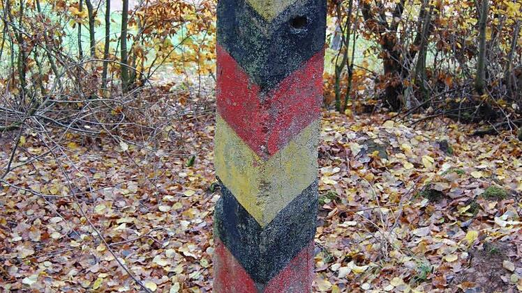 Entdeckung am Wegesrand