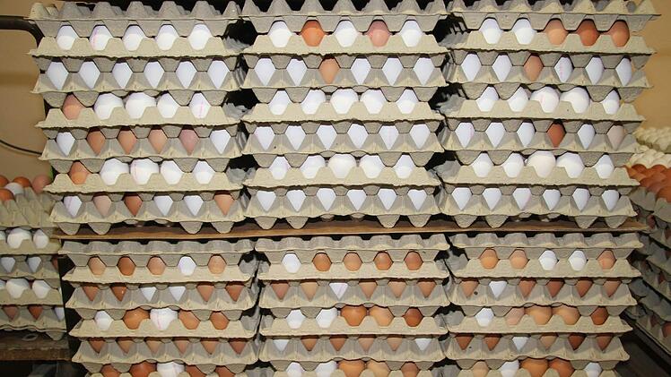 Bergeweise stapeln sich die Kartons. Foto: Sonja Adam