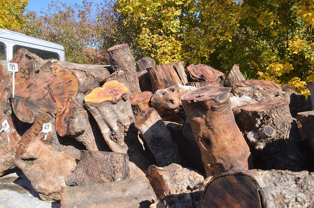 Holztag Scheinfeld 2017