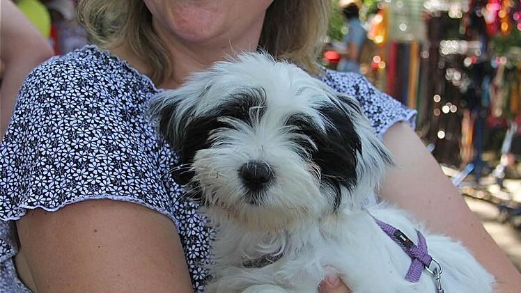 Anja Schelauske mit  Lilli