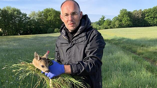 Immer wieder werden Tiere bei der Mahd verletzt. Marc Br&uuml;tting bringt ein Kitz in Sicherheit - in Neunkirchen am Brand setzen die Tiersch&uuml;tzer auf Luftunterst&uuml;tzung. Foto: privat