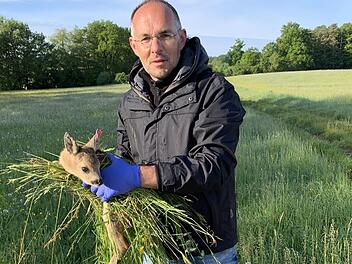 Immer wieder werden Tiere bei der Mahd verletzt. Marc Brütting bringt ein Kitz in Sicherheit - in Neunkirchen am Brand setzen die Tierschützer auf Luftunterstützung. Foto: privat