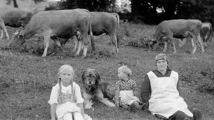 Entspannte Szene beim Kühe-Hüten .  Archivfoto: Stefan Helfrich