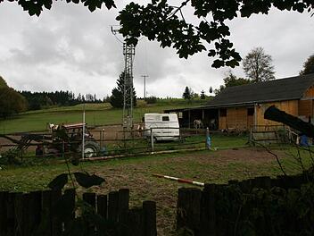 Das Verwaltungsgericht Bayreuth hat die Klage eines Pferdehalters abgewiesen, der Anordnungen des Veterinäramtes nicht umsetzte. Foto: Matthias Beetz