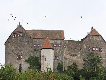 Die Burg Hiltpoltstein hat endlich einen neuen Besitzer. Der Käufer war der einzige Interessent für die Immobilie. Foto: Barbara Herbst