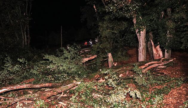 Downburst fordert Todesopfer und bringt Schneise der Verwüstung mit sich