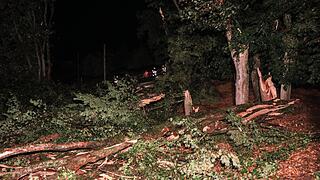 Downburst fordert Todesopfer und bringt Schneise der Verwüstung mit sich