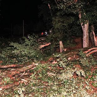 Downburst fordert Todesopfer und bringt Schneise der Verwüstung mit sich