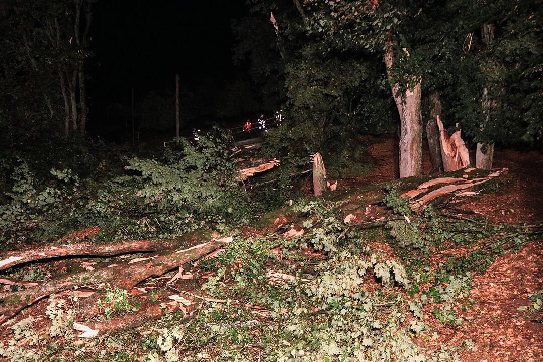 Downburst fordert Todesopfer und bringt Schneise der Verwüstung mit sich