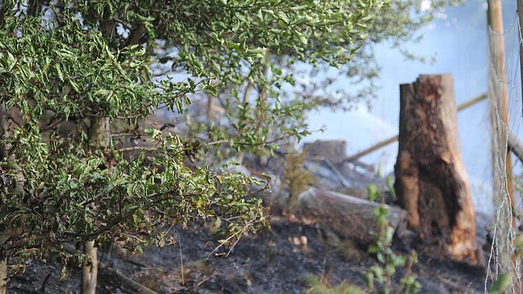 Foto: News5 / Fricke