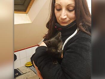 Tierheimleiterin Carina Wittmann hat eines ihrer vielen Sorgenkinder auf dem Arm. Dieser schwarze Stubentiger stammt wohl von einem Bauernhof und hat sich, weil er nicht versorgt wurde, auf die Suche nach Nahrung gemacht. Krank und schwach wurde der Streuner von Passanten aufgelesen und abgegeben. Foto: Tierschutzverein Kulmbach
