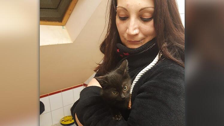 Tierheimleiterin Carina Wittmann hat eines ihrer vielen Sorgenkinder auf dem Arm. Dieser schwarze Stubentiger stammt wohl von einem Bauernhof und hat sich, weil er nicht versorgt wurde, auf die Suche nach Nahrung gemacht. Krank und schwach wurde der Streuner von Passanten aufgelesen und abgegeben. Foto: Tierschutzverein Kulmbach