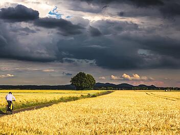 In Franken soll es in dieser Woche vor allem an den Nachmittagen Gewitter geben.