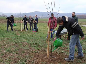 Die Mitglieder des Obst- und Gartenbauvereins pflanzten gemeinsam mit Braumeister Stefan Pfister Obstbäume auf einer gemeindlichen Fläche am Ortsrand. Foto: Mathias Erlwein