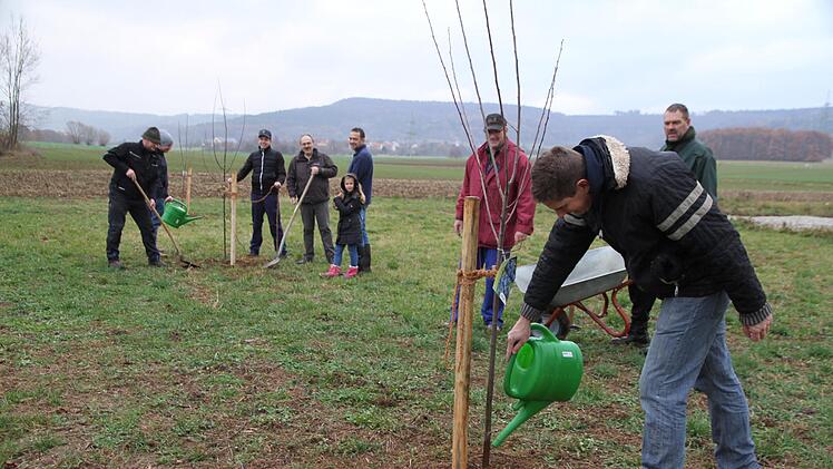 Die Mitglieder des Obst- und Gartenbauvereins pflanzten gemeinsam mit Braumeister Stefan Pfister Obstbäume auf einer gemeindlichen Fläche am Ortsrand. Foto: Mathias Erlwein