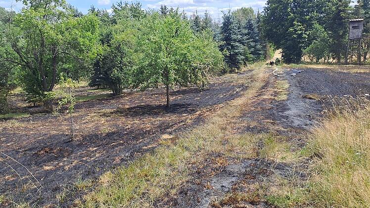"Katastrophenfall" im Landkreis Lichtenfels: Landwirte trotzen vereint der Flammenwand