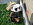 BILD1746