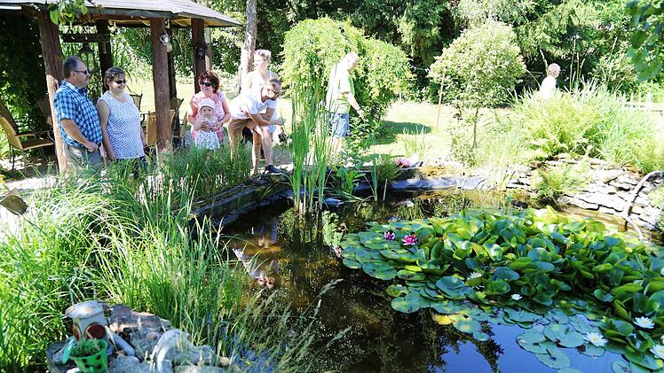 Der Teich im Garten in Morschreuth Foto: Franz Galster