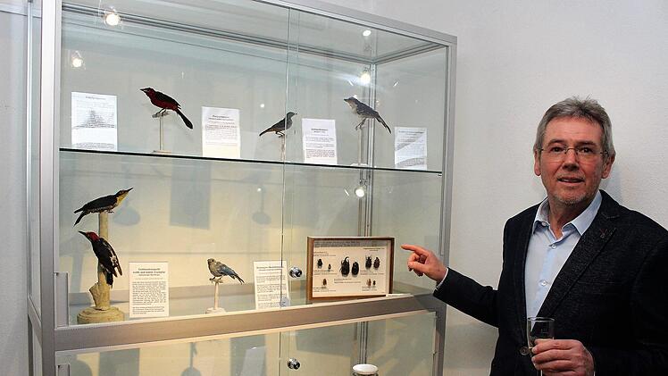 Fördervereinsvorsitzender Herbert Fiederling zeigt eine Vitrine mit Exponaten. Darunter auch Käfer, die Ritter von Spix von seiner Expedition mitgebracht hat