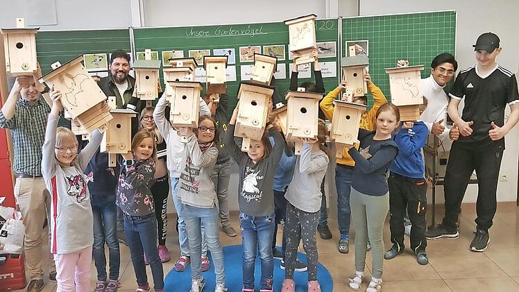 Die Kinder bauten mit Johannes Seuberth Nistkästen in den Klassenzimmern zusammen. Foto: Mathias Erlwein