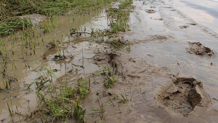 Foto: NEWS5/Holzheimer