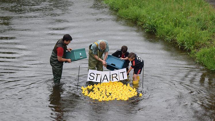 Los geht's: Die Enten treten ihre Reise über die Steinach an. Foto: Daniela Pondelicek
