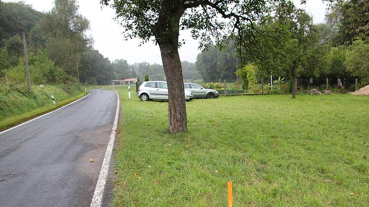 Dieser Apfelbaum soll dem geplanten Ausbau der Staatsstraße zwischen Kirch- und Weikertslauter weichen. Der Eigentümer spielt da aber nicht mir.