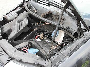 Der Schaden am Auto hält sich in Grenzen. Foto: Jürgen Gärtner