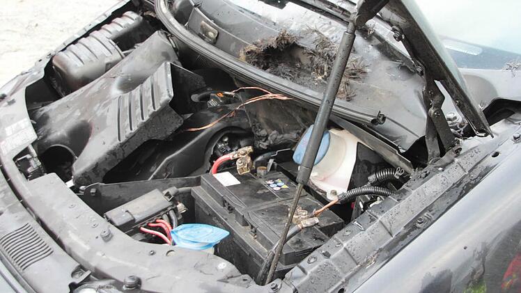 Der Schaden am Auto hält sich in Grenzen. Foto: Jürgen Gärtner